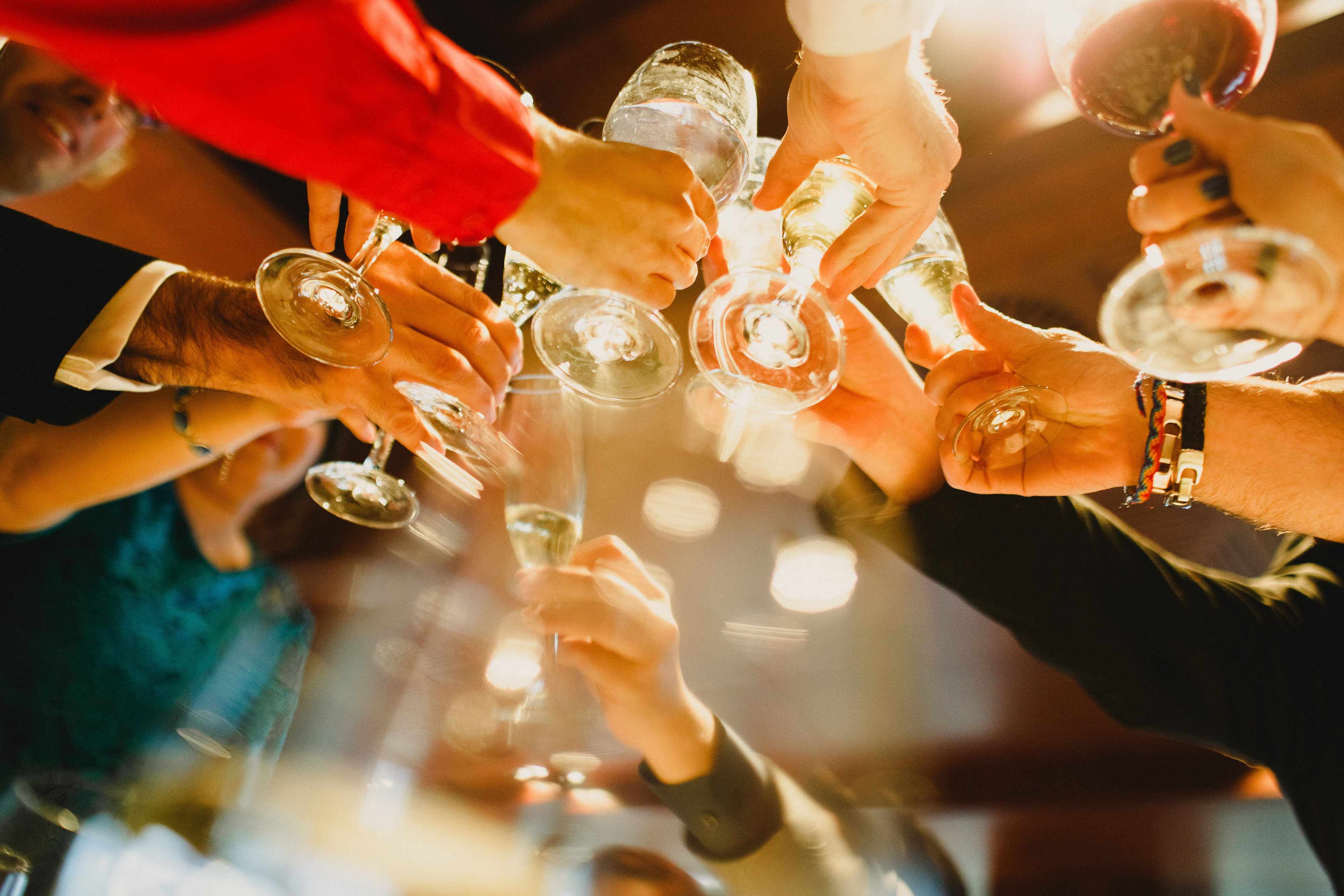 People Making a Toast at a Party